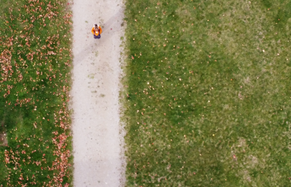 Fall Trail